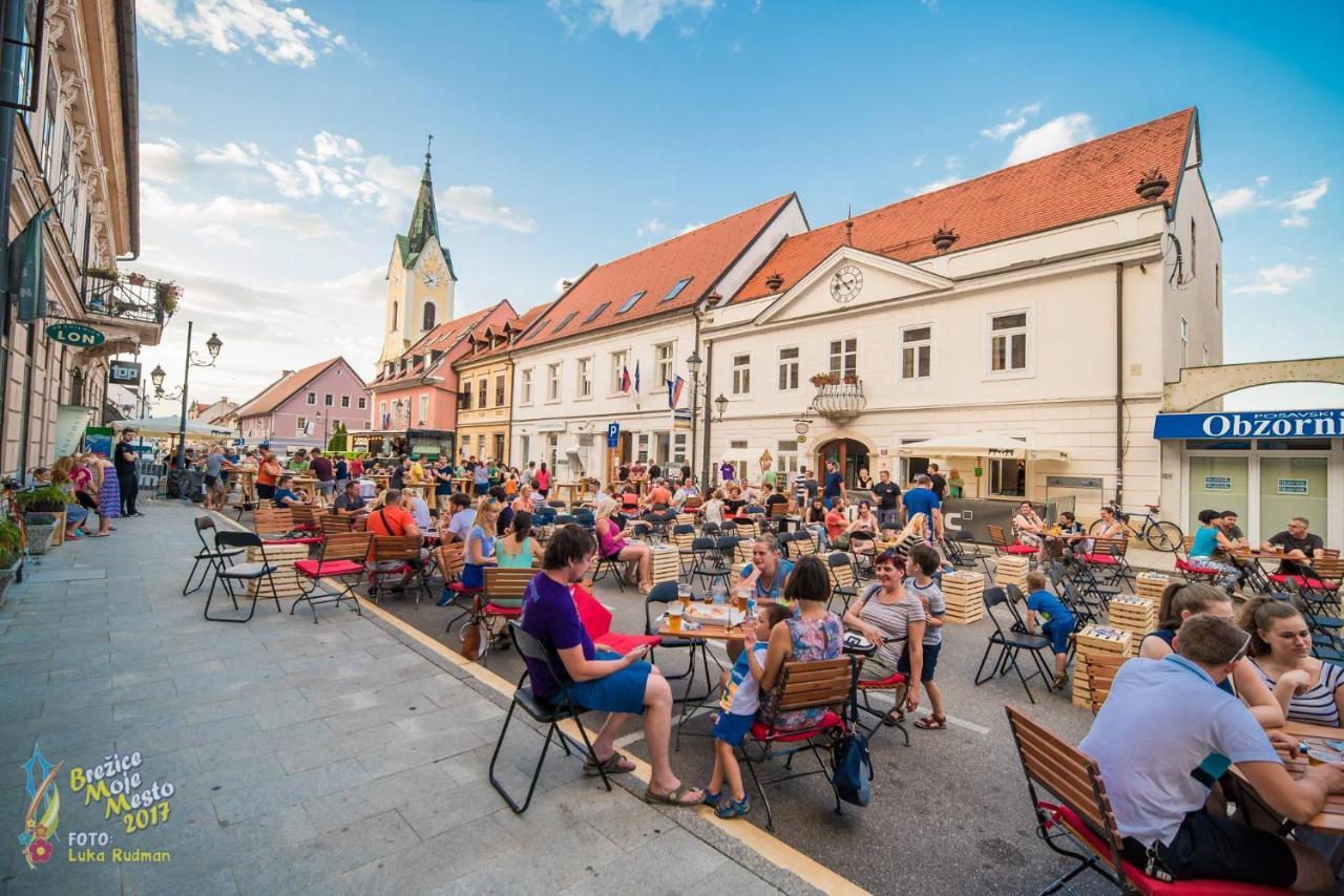 Hotel Cateski Dvorec Catez ob Savi Exterior foto