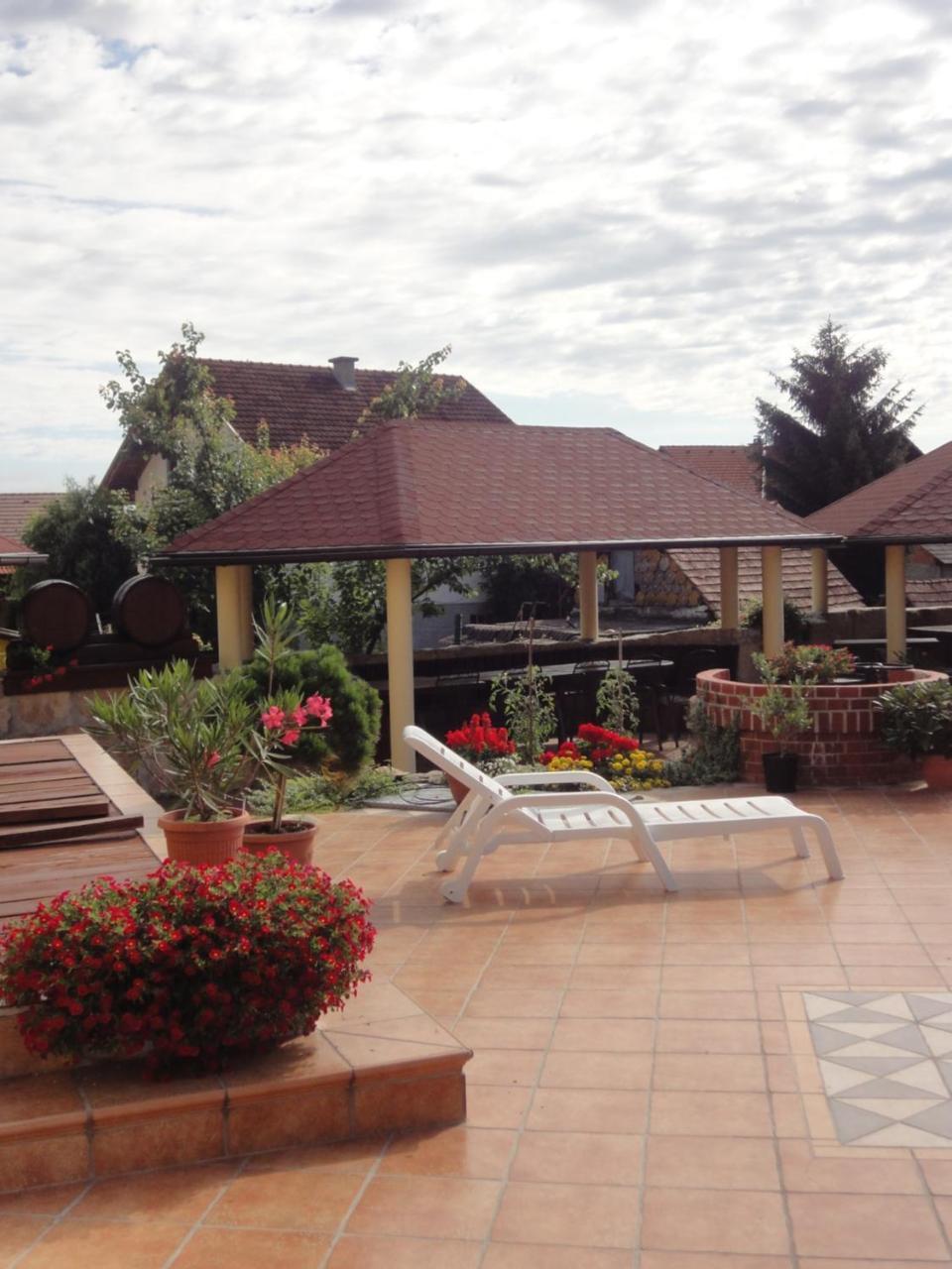 Hotel Cateski Dvorec Catez ob Savi Exterior foto