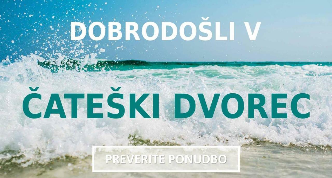 Hotel Cateski Dvorec Catez ob Savi Exterior foto